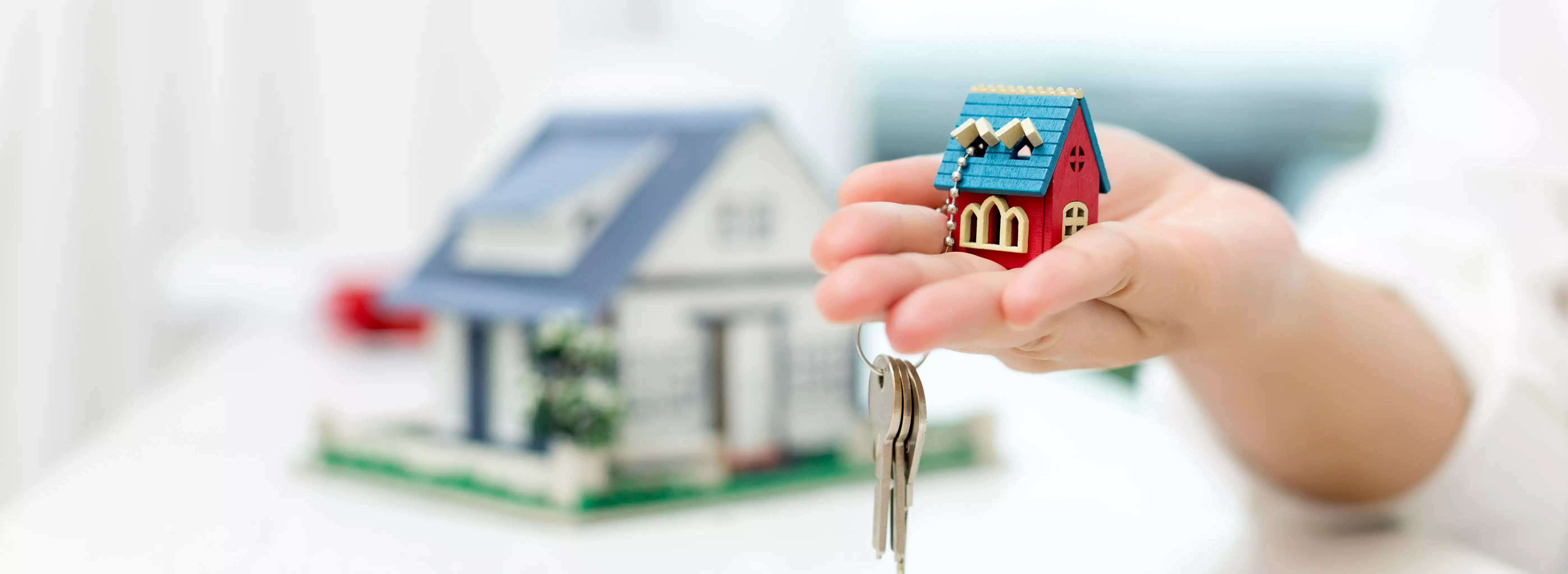 UZMAN EMLAK GAYRİMENKUL